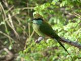 Yala National Park